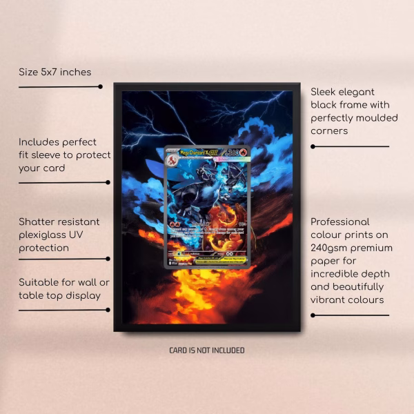 125/094 Mega Charizard X ex (110/080) Pokemon Extended Art Frame